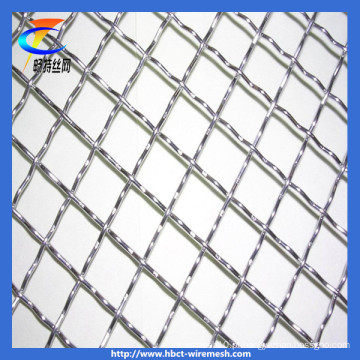 China Prensado Wire Mesh (CT-2)